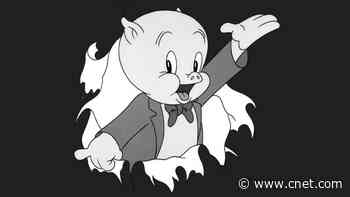 Missing Your Looney Tunes Fix? Here's Where to Stream After Max