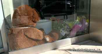 Murder trial begins for man accused in random stabbing of Calgary woman