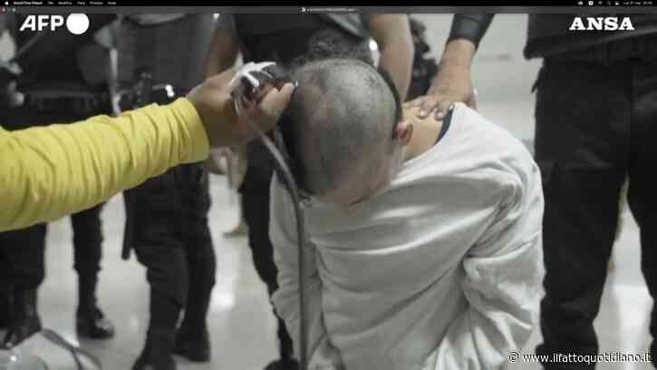 Trascinati, messi in ginocchio e rasati: nuovo video choc dei migranti deportati dagli Usa in Salvador