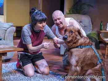 Colleen Murphy family drama set for world premiere at Theatre Network