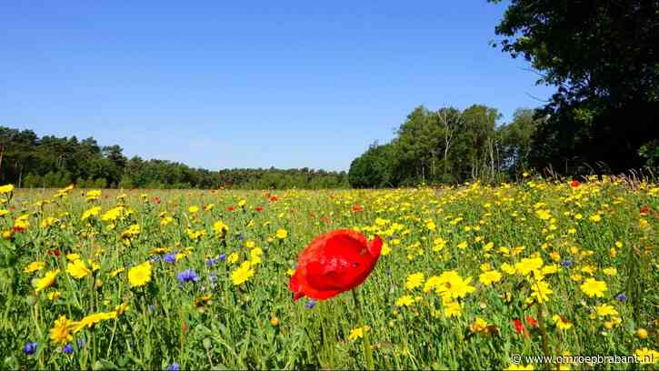 Het was nog nooit zo droog in maart als dit jaar