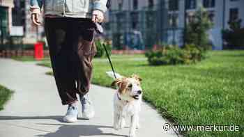 Gen Z setzt Arbeitslosigkeit in Szene: „Nine-to-five hat mich nie erfüllt“