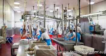 Supply chain stutters as floods bring flow-on effects to livestock sector