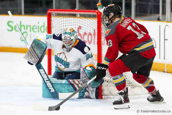 Stacey, Vanisova, Watts named PWHL’s three stars of the week