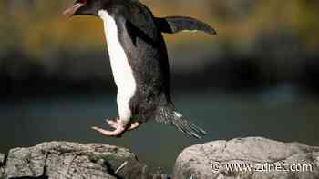 Why this Linux distro is my new favorite Windows replacement