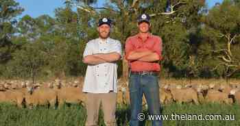 Best mates build vertically integrated paddock to plate business