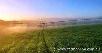 High-performing Western District farm with 1000-head feedlot up for grabs