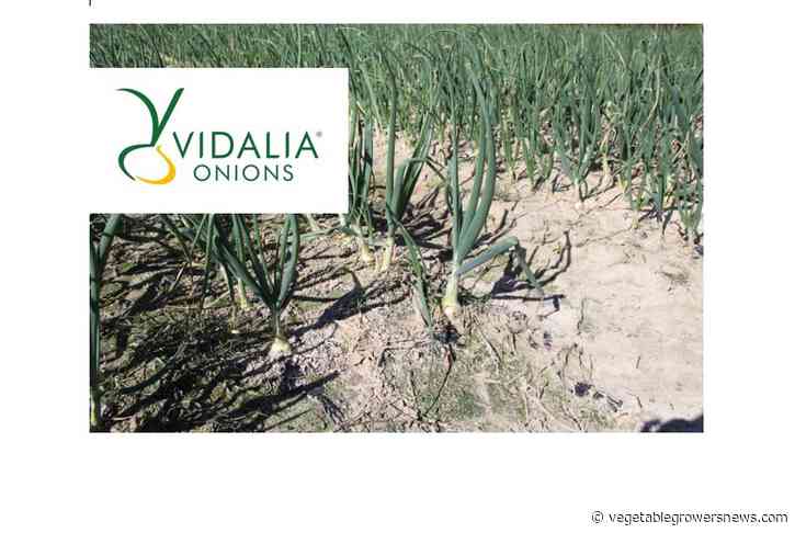 Vidalia onion official pack date scheduled