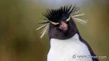 5 fun Linux commands you should try at least once