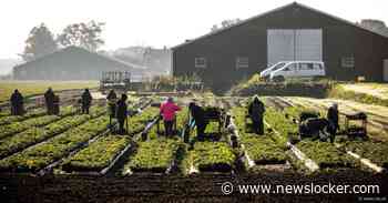 ‘Migratiediscussie dreigt een dovemansdebat te worden’, zegt het SCP in een nieuw onderzoek