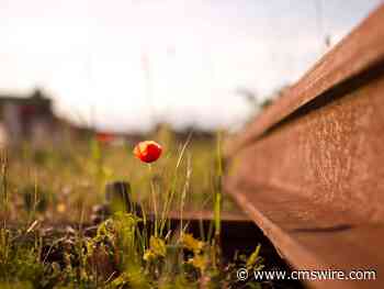 The Growing Role of AI in Experience Management