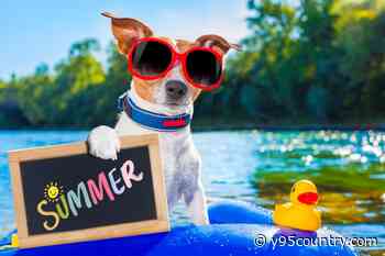 Online Poll: The Best Thing About Wyoming Summer Weather