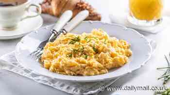 Urgent recall for eggs due to possible bleach contamination