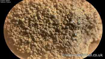 Scientists are baffled after discovering a bizarre rock on Mars that's like NOTHING they've ever seen