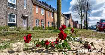 Gruwelijk schietdrama schokt Oosterhoutse wijk: ‘Voor hetzelfde geld wordt iemand geraakt die toevallig in de buurt is’