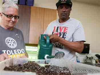 Photo Gallery: Service Above Self Day