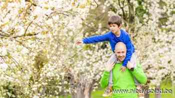 De grote bloesemwandelgids: dit zijn vijftien tochten voor het hele gezin of weg van de massa