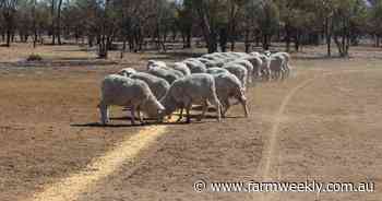 High pressure system off bight contributing to dry dams on south coast