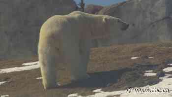 Some Manitobans reconsider spring break plans amid U.S.-Canada tensions