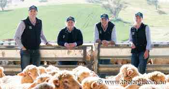 Branding on quality: What needs to change in the Australian lamb industry