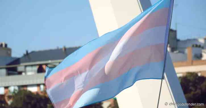 The Importance Of Transgender Day Of Visibility
