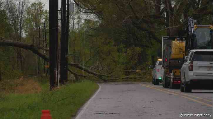 Upcoming winds could bring more tree-related damage over the week