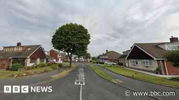 Man and dog die in severe house fire