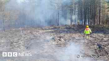 Large fire breaks out in country park forest