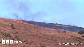 Watch as firefighters tackle hillside blaze