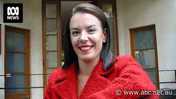 Victims of Sydney con-woman Melissa Caddick receive $3.5m settlement