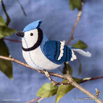 Felt Blue Jay