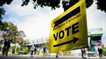 'Generational' election: U.S. threats could drive higher voter turnout, experts say