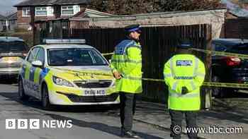 Man, 84, dies weeks after XL bully attack