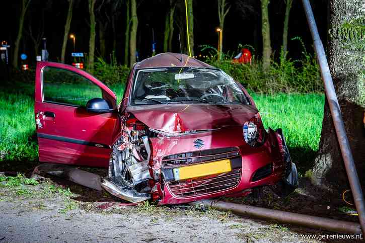 Auto vliegt uit de bocht en ramt lantaarnpaal en boom
