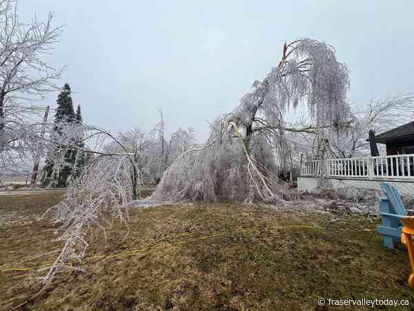 Power outages persist in hard-hit areas after Ontario ice storm