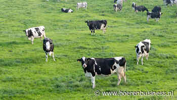 Eko-Holland verhoogt basismelkprijs voor april