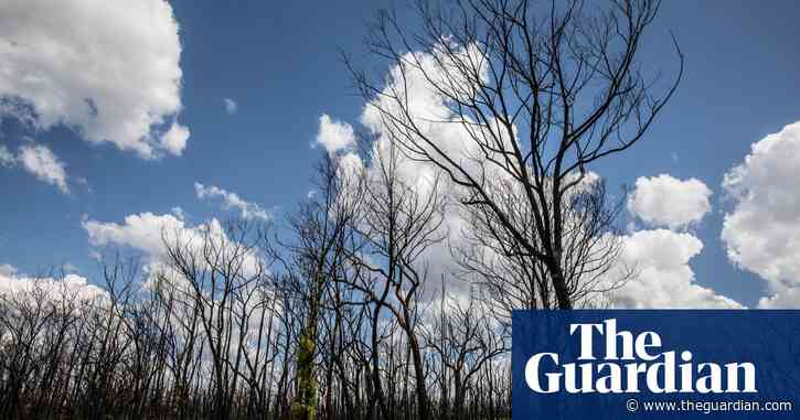 Average person will be 40% poorer if world warms by 4C, new research shows