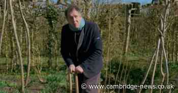 Monty Don says gardeners 'must avoid' lawn error in April and makes sweet pea plea