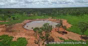 Country Downs has been labour of love for Kurt Elezovich in Kimberleys