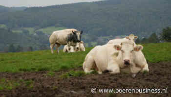 MKZ verspreidt zich verder in Slowakije