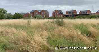 New sports facilities planned for South Bristol after Robins Foundation secures playing fields