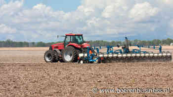 'Corn is king' en tarwe is uit de gratie in de VS