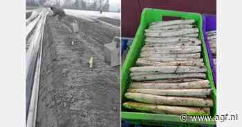 "Winkeliers schakelen rond Pasen over op lokaal product"