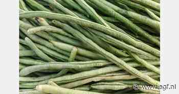 RASFF: Fenobucarb in kousenband uit Sri Lanka