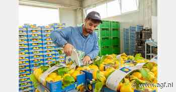 Italiaanse citroenafzet piekt