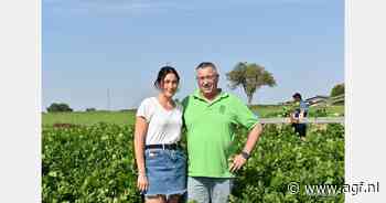 "Palatinate lente-ui goed gevestigd op Duitse markt"