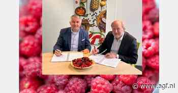 Nederlandse sector start Europees promotieprogramma zachtfruit