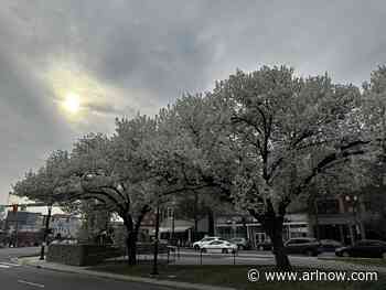 Morning Notes for April 1, 2025