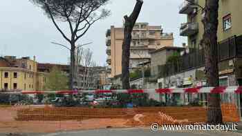 Bisogna abbattere un albero per riparare la tubatura. L'ira di chi è rimasto isolato e senz'acqua