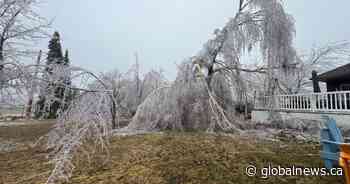 Power outages persist in hard-hit areas after Ontario ice storm
